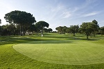 Golf Clubs in Fort Worth - Things to Do In Fort Worth